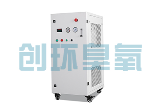甘肃石斑鱼养殖水质调控完整指南：臭氧发生器配置与操作步骤