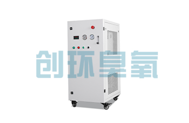甘肃比传统换水更高效？臭氧发生器在石斑鱼养殖中的水质净化原理解析