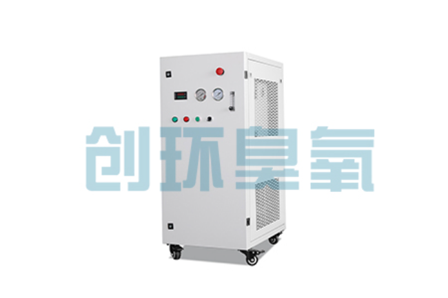 甘肃比传统换水更高效？臭氧发生器在石斑鱼养殖中的水质净化原理解析